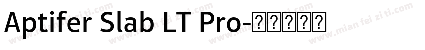 Aptifer Slab LT Pro字体转换